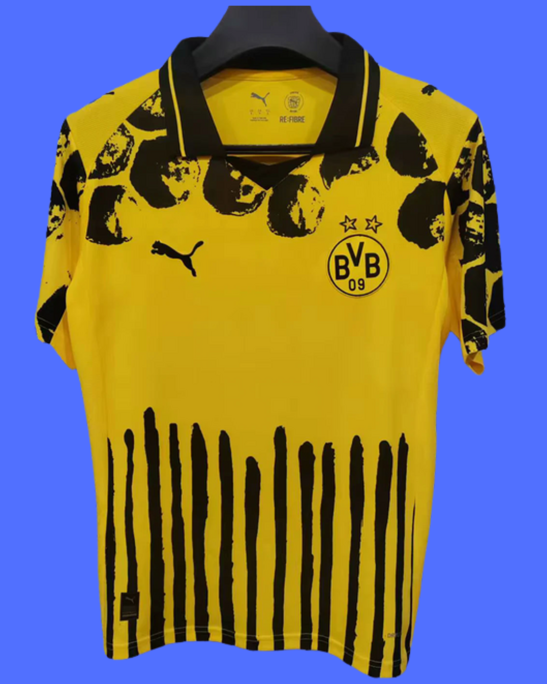 Borussia Dortmund 25/26 local