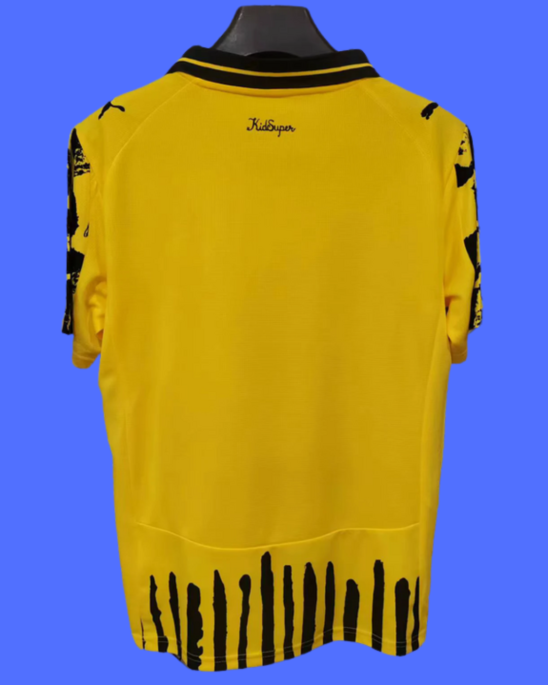 Borussia Dortmund 25/26 local